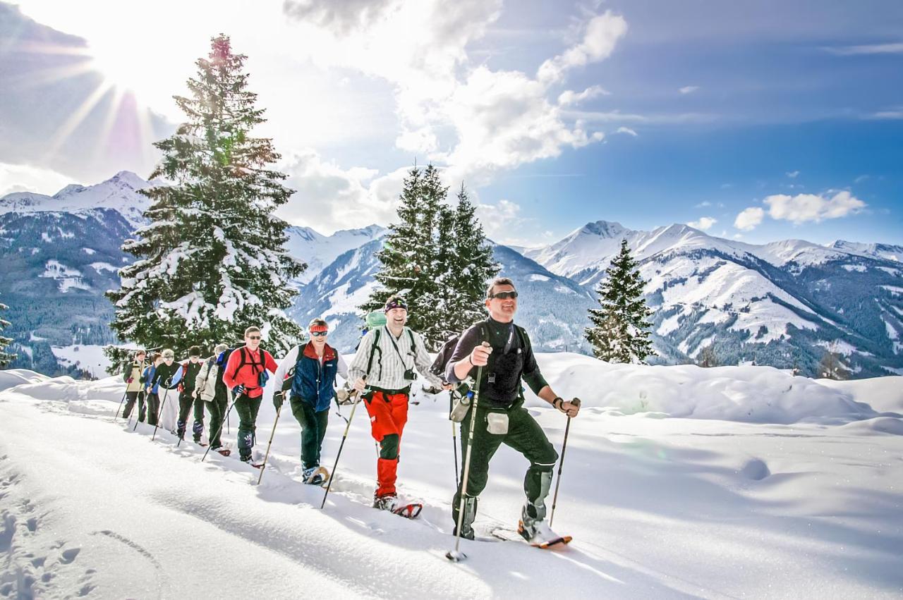 Alpen Chalets Zell Am See Niedernsill Zewnętrze zdjęcie
